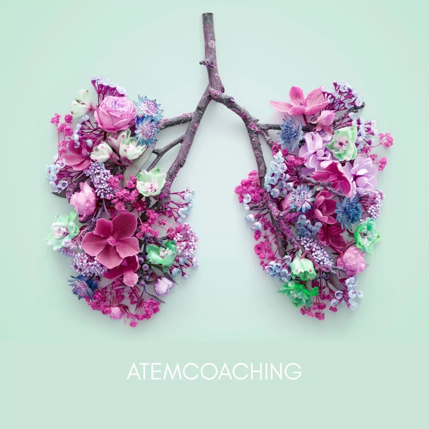 Online-Atemcoaching